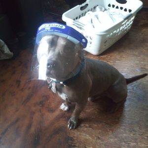 Meet your Posher, James